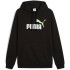 Moletom Puma Essentials 2 Color No. 1 Lo Homem Helecho primaveral/Preto