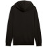 Moletom Puma Essentials 2 Color No. 1 Lo Homem Helecho primaveral/Preto