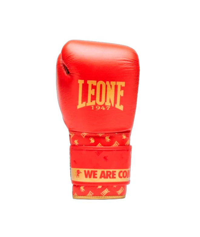 Gants De Boxe Dna Rouge/10Oz Leone