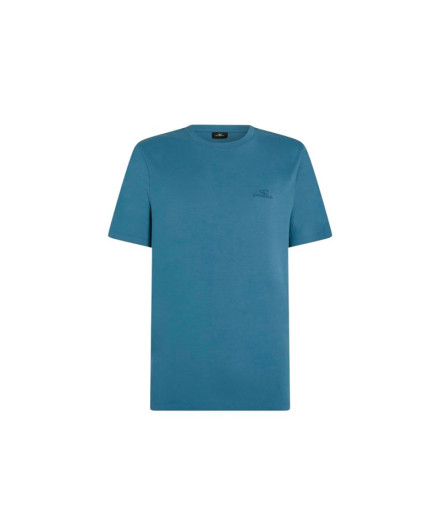 Camiseta O'Neill Small Logo Homem Azul