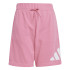 Conjunto adidas Bl T-Set Infantil Rosa