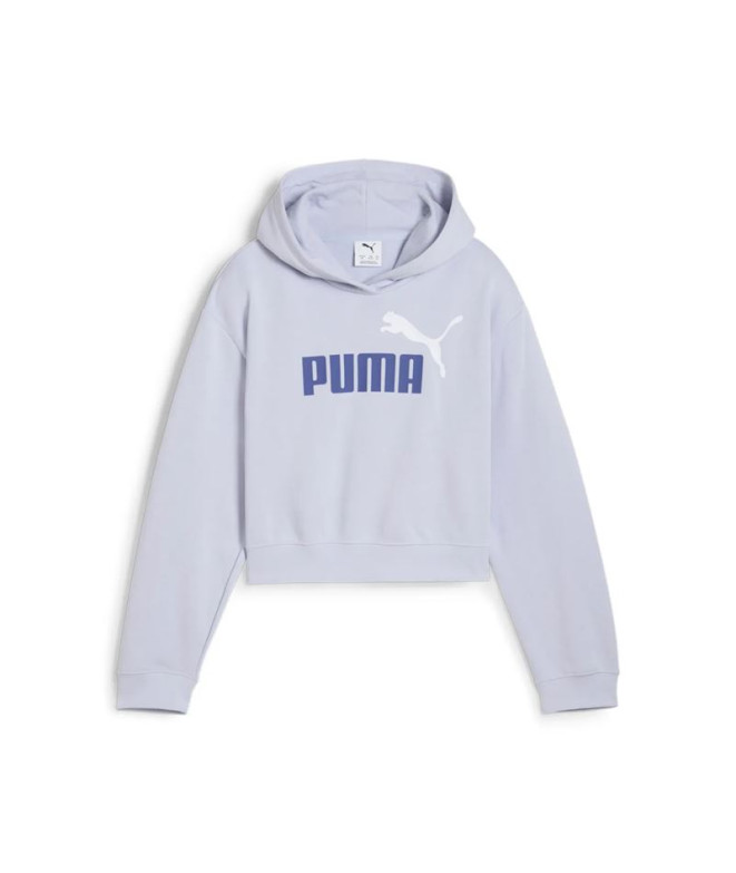 Sweat Puma Essentials 2 Couleur No. 1 Lo, Temps frais, Fille