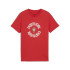 Camiseta de Fútbol Puma Fpf Ftblnrgy ,Sport Red, Niño