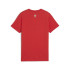 Camiseta de Fútbol Puma Fpf Ftblnrgy ,Sport Red, Niño