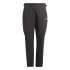 Pantalons de Montagne adidas Xperior Pl Femme Noir