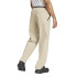 Pantalones de Montaña adidas Mt Liteflex Hombre Sabana