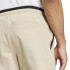Calça de Montanha adidas Mt Liteflex Homem Sabana