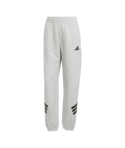 Pantalons adidas Future Icons 3Bandas Reg Femme Gris