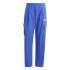 Calça de Montanha adidas Cargo Homem Azul