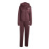 Chandal adidas Linear Ts Mulher Rubaur