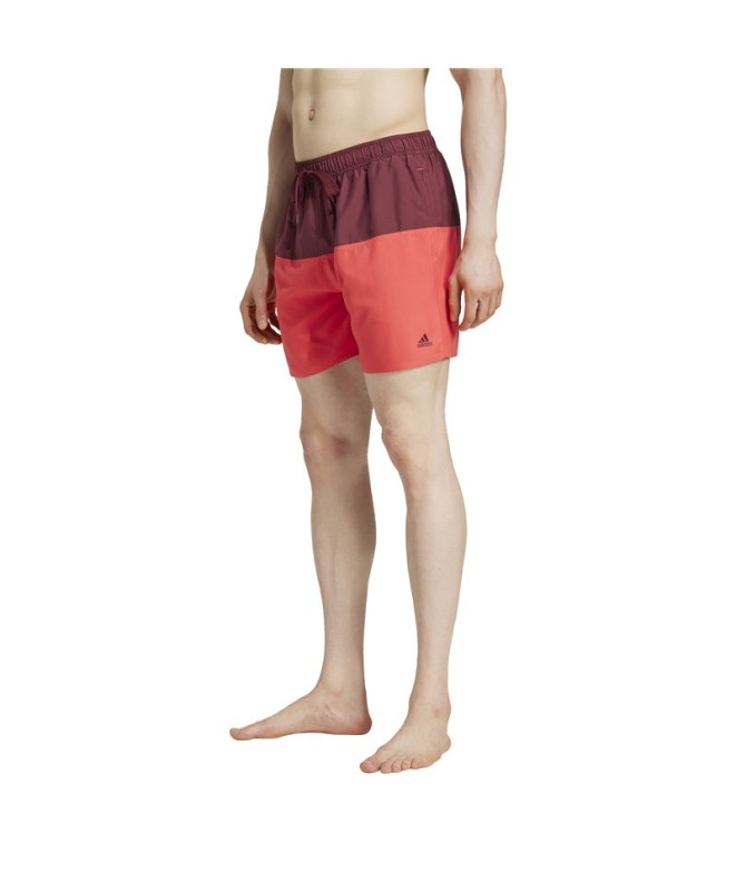 Bañador de Natación adidas Colorblk Clx Sl...