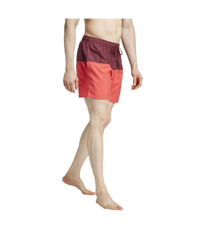 Bañador de Natación adidas Colorblk Clx Sl...