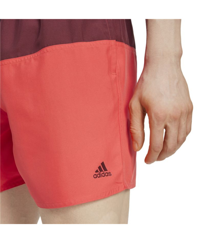 Bañador de Natación adidas Colorblk Clx Sl...