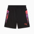 Pantalon De Football Puma Individualcup S, Noir, Homme