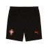 Calça de Futebol Puma Fpf Ftblnrgy J, Preto, Menino