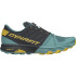 Chaussures de trail Dynafit Alpine Pro 2 Éteindre Atlantique