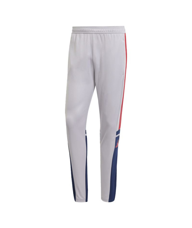 Calça de Futebol adidas Squadra25 Tr Homem Cinza