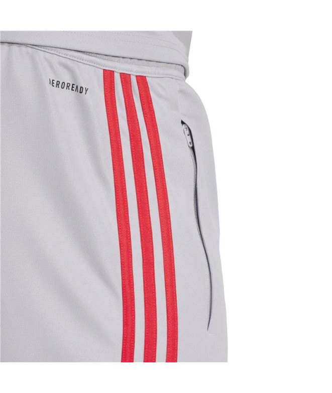 Pantalons de Football adidas Squadra25 Tr Homme...