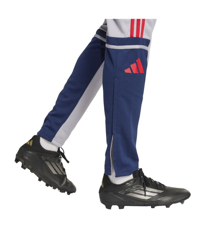 Calça de Futebol adidas Squadra25 Tr Homem Cinza