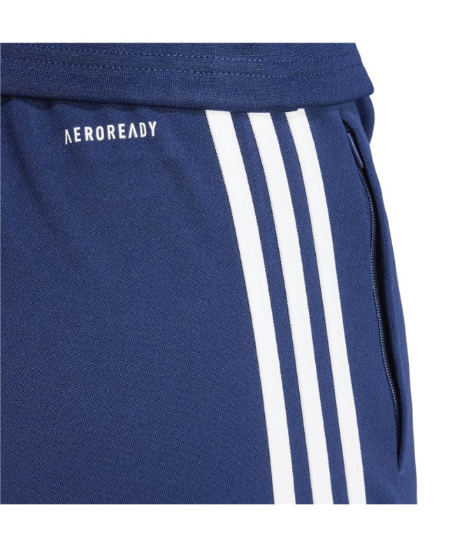 Pantalones de Fútbol adidas Squadra25 Tr Mujer...