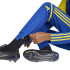 Pantalones de Fútbol adidas Squadra25 Tr Infantil Azul