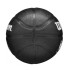 Pelota de Baloncesto Wilson NBA Team Tribute Mini Tor Raptors