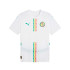 Camiseta de Futebol Puma Senegal Home Jersey Repl, Whitepo Homem