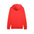 Sweat Puma Essentials 2 Couleur No. 1 Lo, Rouge Feu Homme