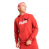 Sweat Puma Essentials 2 Couleur No. 1 Lo, Rouge Feu Homme