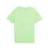 Camiseta Puma Essentials No. 1 Logo B,Spring Fern, Niño