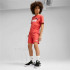 Pantalon Puma Essentials 2 Couleur No. 1 Lo, Rouge Feu, Enfant