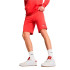 Pantalon Puma Essentials 2 Couleur No. 1 Lo, Rouge Feu Homme