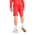 Pantalón Puma Essentials 2 Color No. 1 Lo,Red Fire Hombre