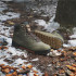 Botas de Montaña adidas Terrex Snowpitch Cold.Rdy Hiking Hombre Verde Oliva