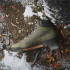 Botas de Montaña adidas Terrex Snowpitch Cold.Rdy Hiking Hombre Verde Oliva