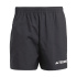 Pantalons de Montagne adidas Mt Short Homme Noir