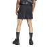 Pantalons de Montagne adidas Mt Short Homme Noir