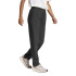 Pantalones de Montaña adidas Mt Liteflex Mujer Negro
