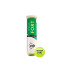 Bolas de tênis Dunlop Tb Fort All Court Ts 4Pet