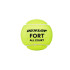 Bolas de tênis Dunlop Tb Fort All Court Ts 4Pet