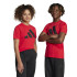 Camiseta adidas Bl 160 Infantil Rubi puro / Preto