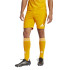 Pantalón de Fútbol adidas T25 P Gk Sho Hombre Naranja