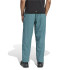 Pantalón de Montaña adidas Mt Liteflex P Hombre Azcead