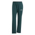 Pantalón de Montaña adidas Mt Liteflex P Mujer Hieaur