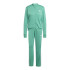 Chandal adidas 3 Bandas Tr Ts Mulher Verde