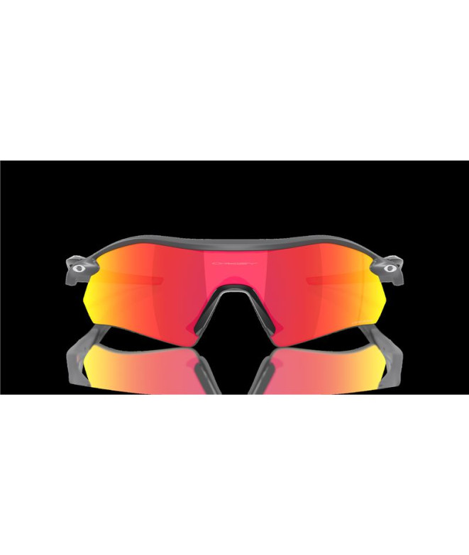 Lunettes de soleil Oakley Plaque Radar Carbone...
