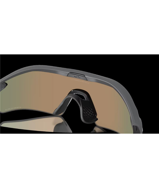 Lunettes de soleil Oakley Plaque Radar Carbone...