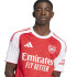 Camiseta de Futebol adidas Arsenal H Jsy Homem Vermelho