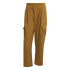 Calça de Montanha adidas Cargo Homem Marrom