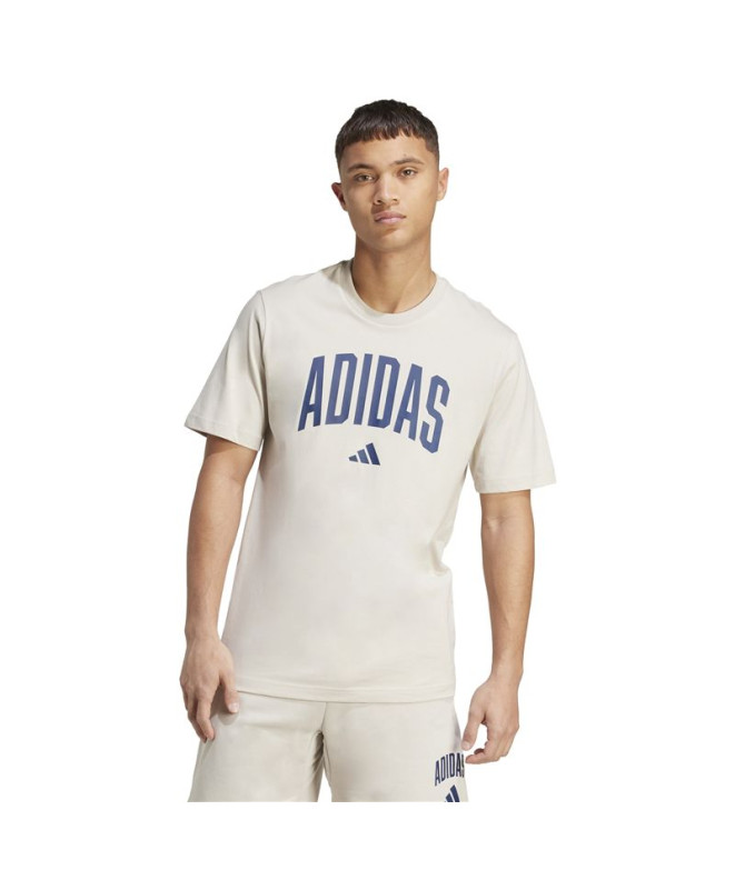Camiseta adidas Collegiate Homem Cinza